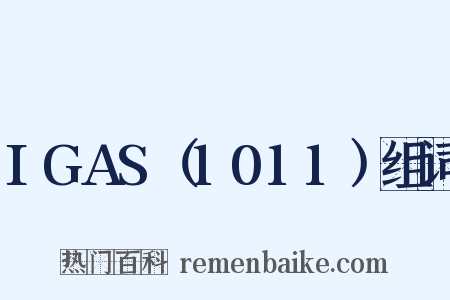 IGAS（1011）组词是什么意思的图片